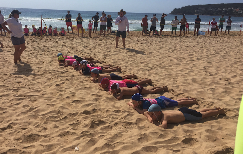 New Nippers Competition Coordinator – Dione Mead